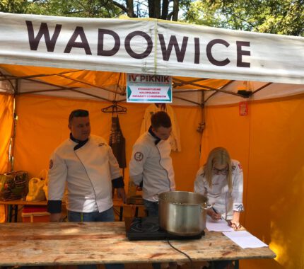IV Piknik Organizacji Pozarządowych w Wadowicach