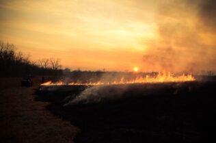 Apel Straży Pożarnej o zaniechanie szkodliwego wypalania traw