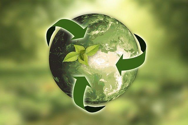 dzień ziemi - Zero waste w praktyce